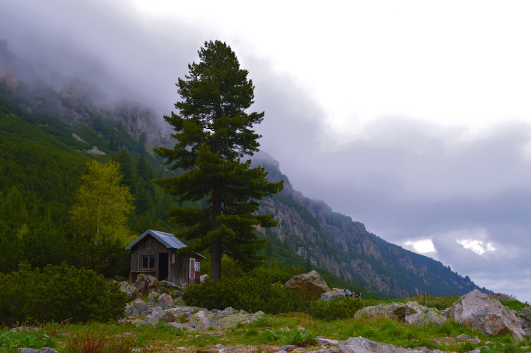 Chasing the Thin Air: A Gonzo Ascent of Musala Peak in Rila Mountain