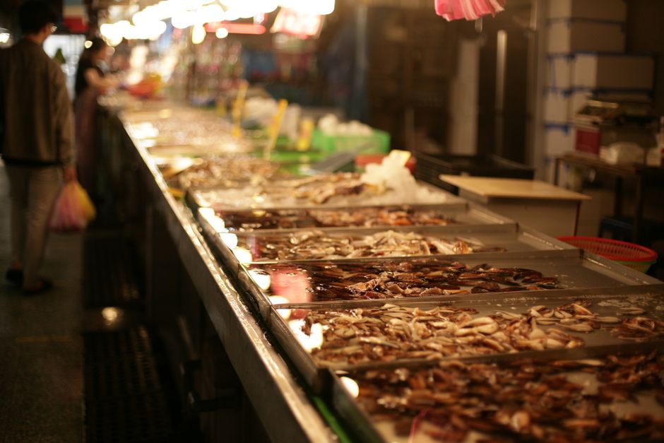 Zadar Market fresh seafood produce stalls bustling atmosphere