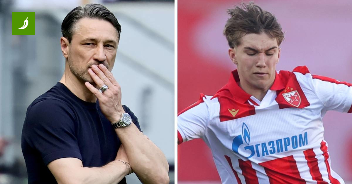 Dortmund Offers Record €25 Million for Red Star's 18-Year-Old Talent