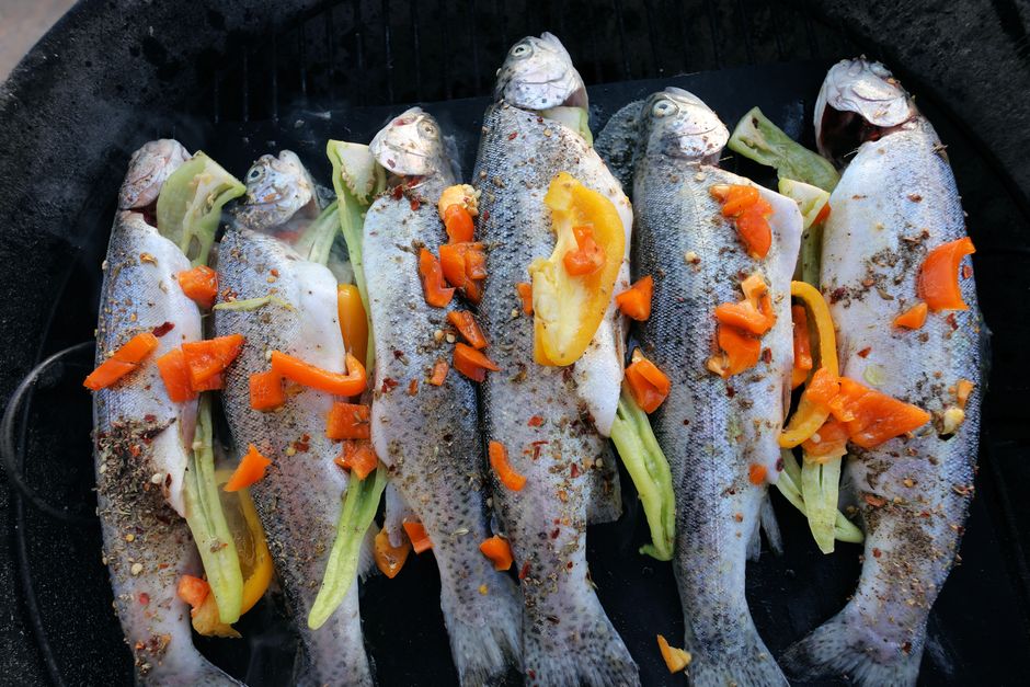 Greek grilled fish dinner on caique deck Saronic Gulf sunset