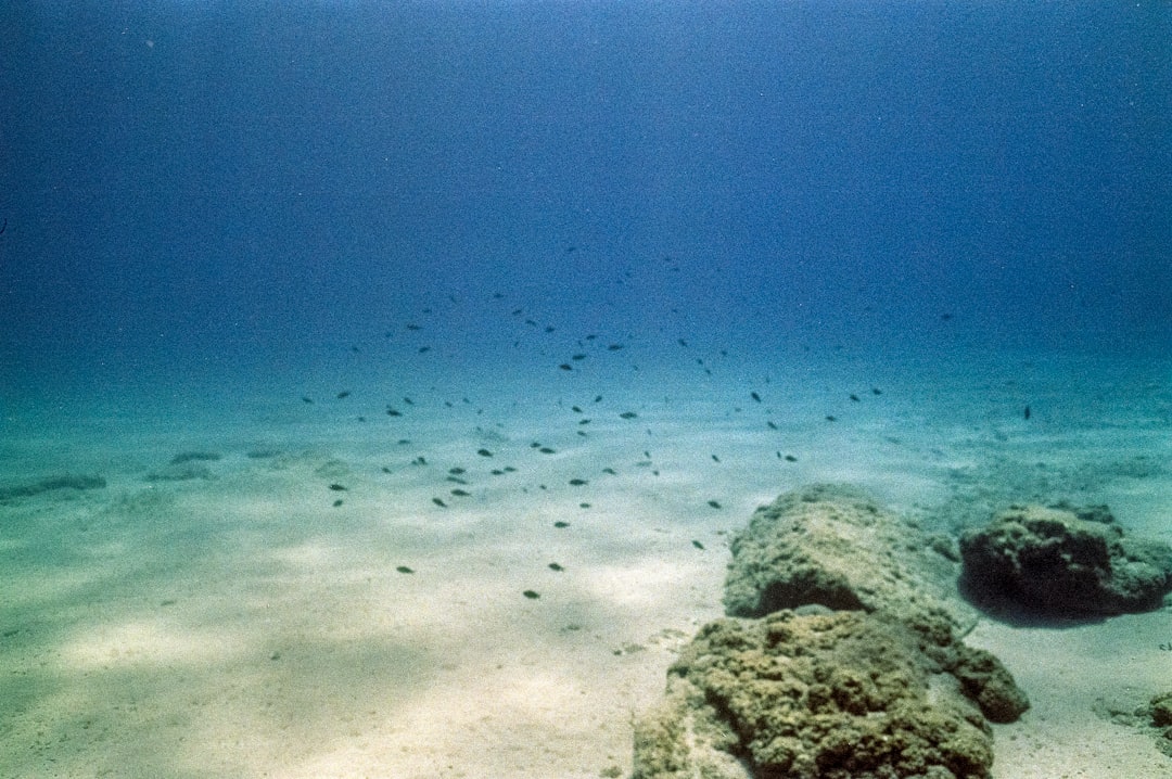 Chasing Ghost Corals and Wind-Scoured Rocks on Limnos, Greece