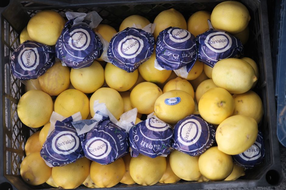 Chios mastic gum village market fresh produce