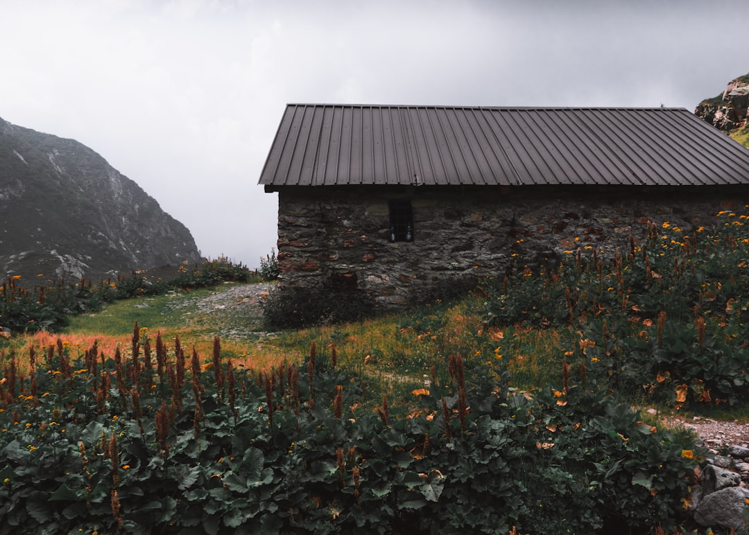 Rila Mountains shepherd wooden hut stone walls wildflowers close-up