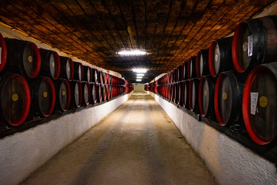 Drinking History in the Tokaj Region of Romania: Cellars, Cigars, and the Fog