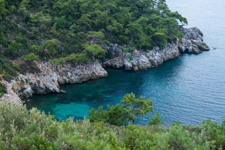 Peloponnese wild coast black sand cove pine forest Greece