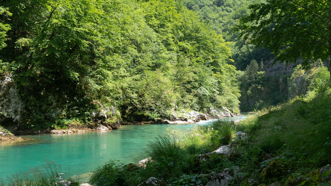 Drina River valley landscape Tara National Park
