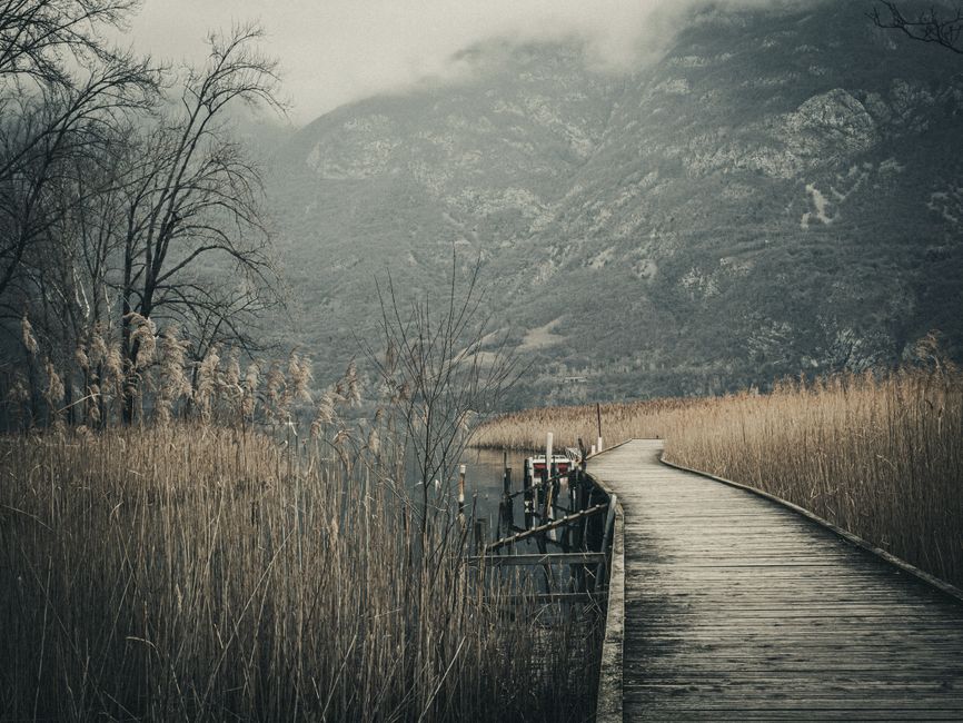 Hutovo Blato wetlands boardwalk morning mist Bosnia