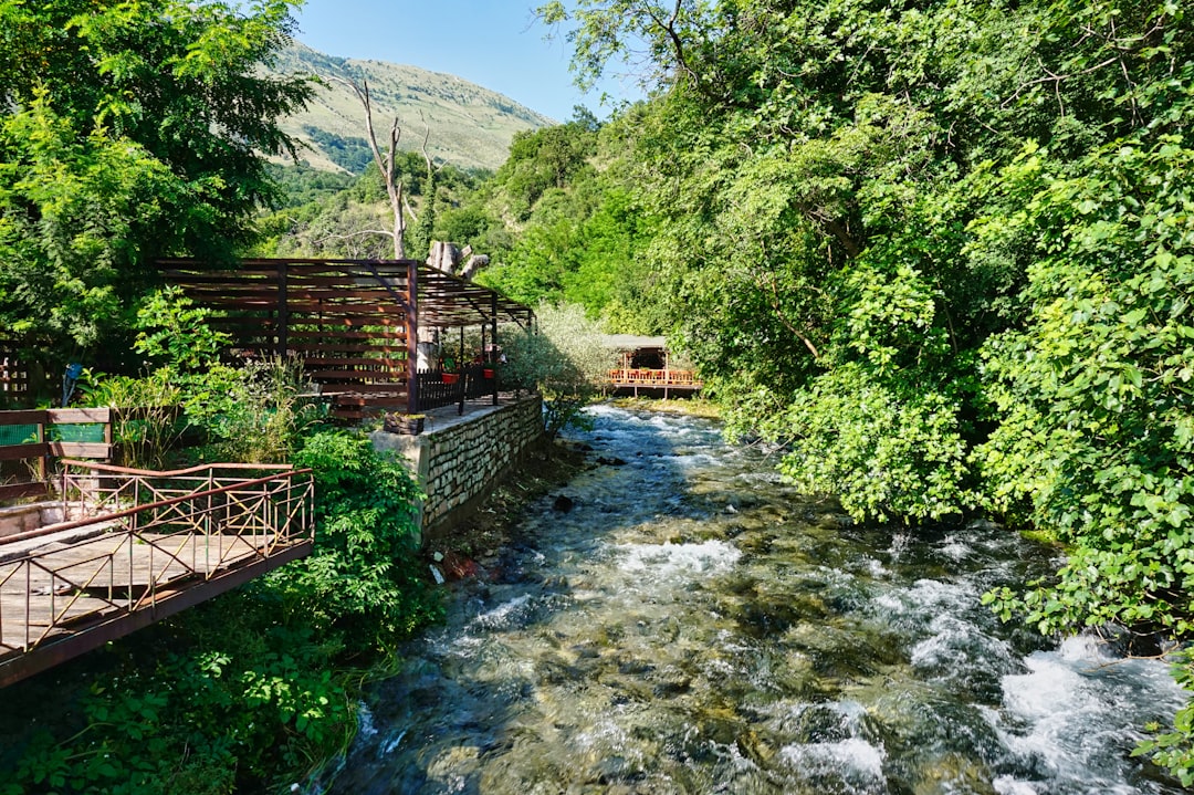 Blue Eye of Theth Albania spring water forest