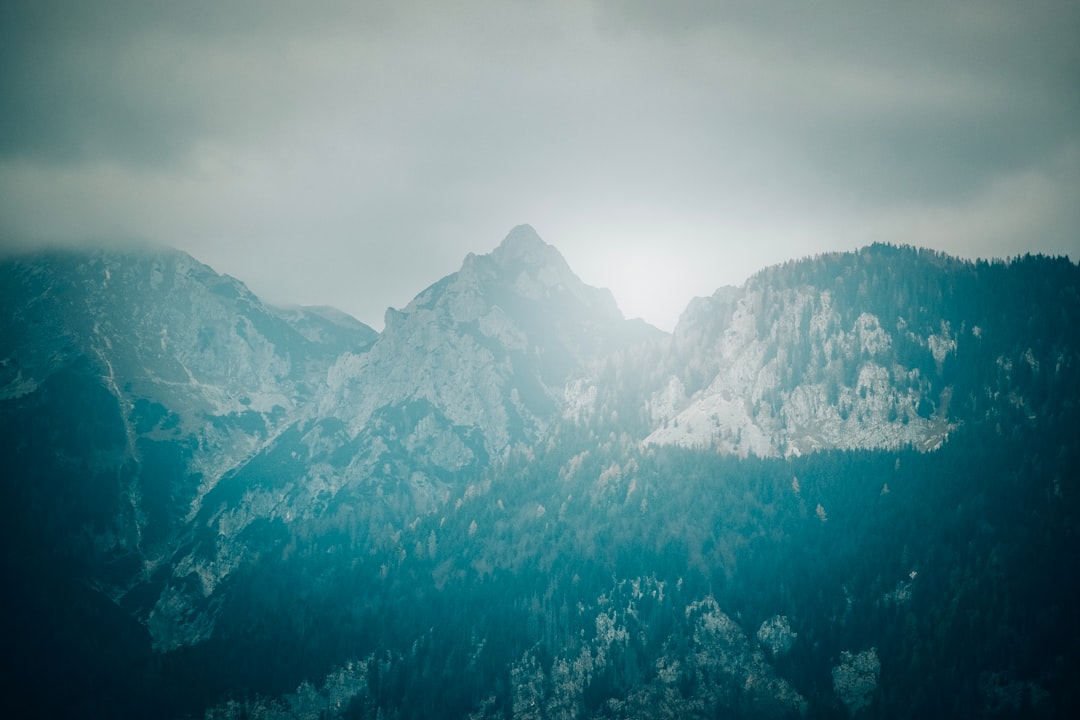 Ancient Forests and Peaks: Exploring Slovenia's Triglav National Park