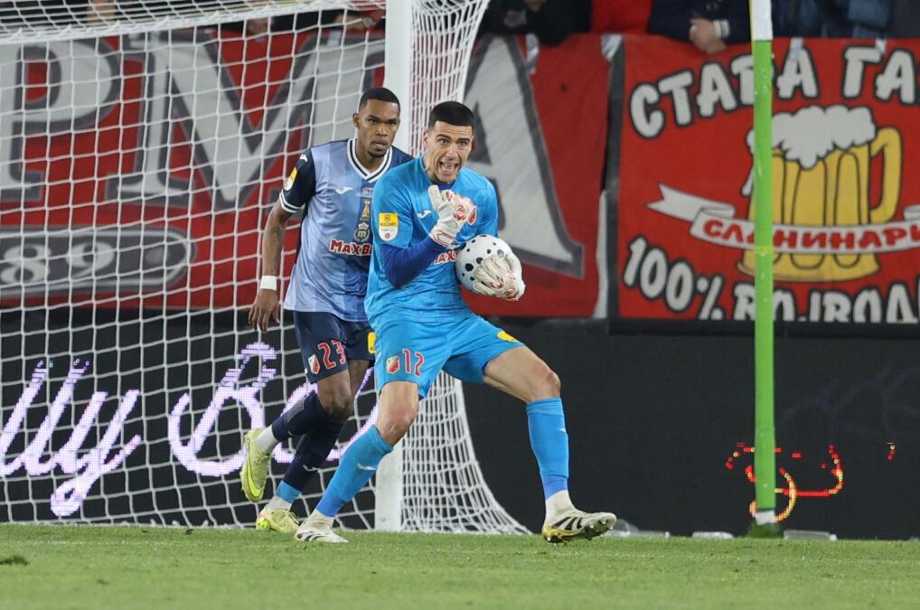 Vojvodina Celebrates Their Fans: Free Entry to Match Against Novi Pazar!