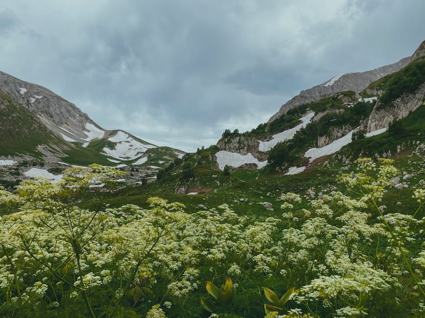 Prionia Plateau Mount Olympus Greece wildflowers mountain view