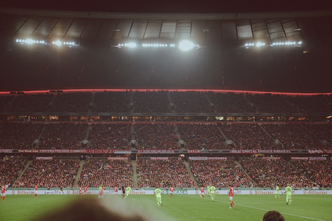 German football fans waving flags stadium crowd