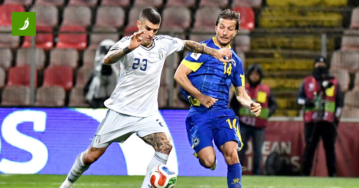 Šunjić Injury Blots BiH's World Cup Hopes