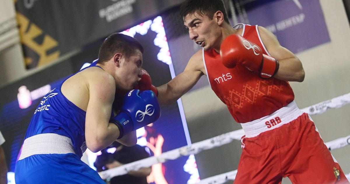 Serbian Boxing Team Shines at 63rd "Beogradski Pobednik"