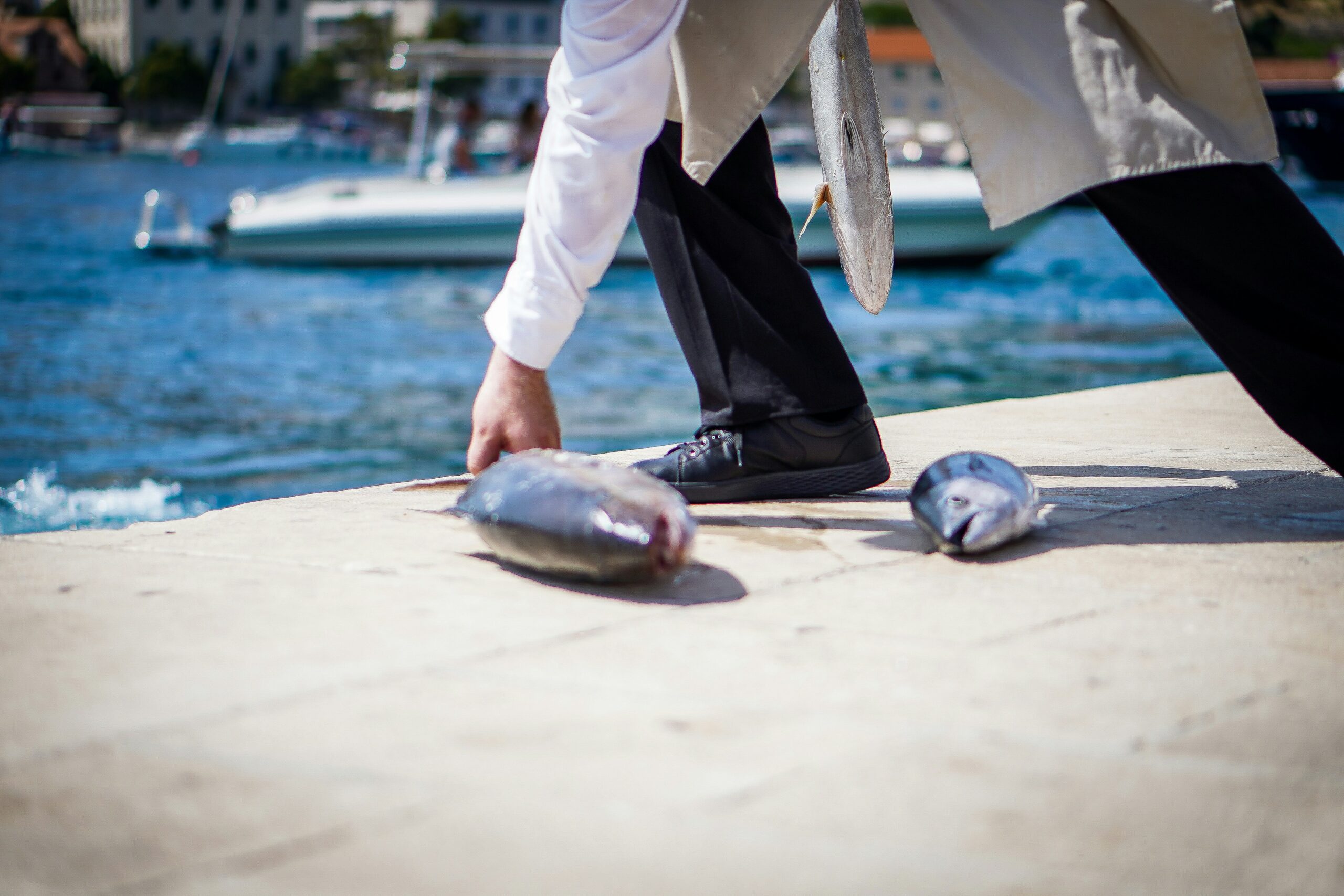 Croatia's Konoba Culture in the Face of Modern Tourism