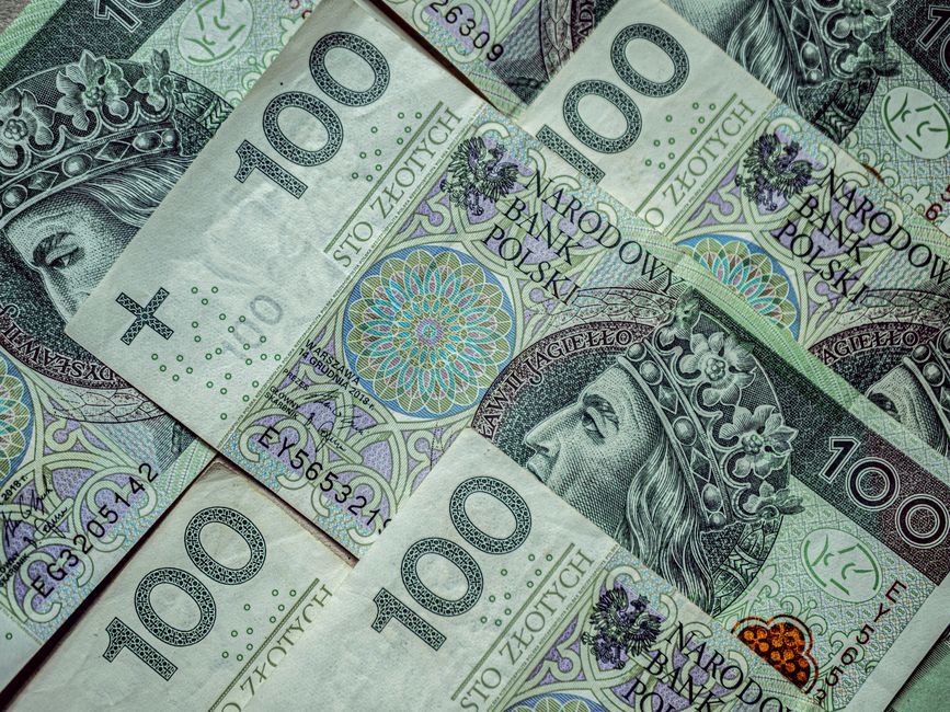 Serbian dinar banknotes currency close-up
