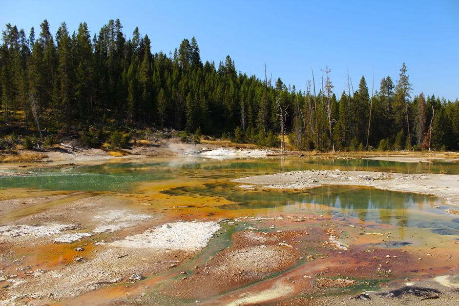 Peleș Hot Springs Romania concrete pools steam rising pine forest background