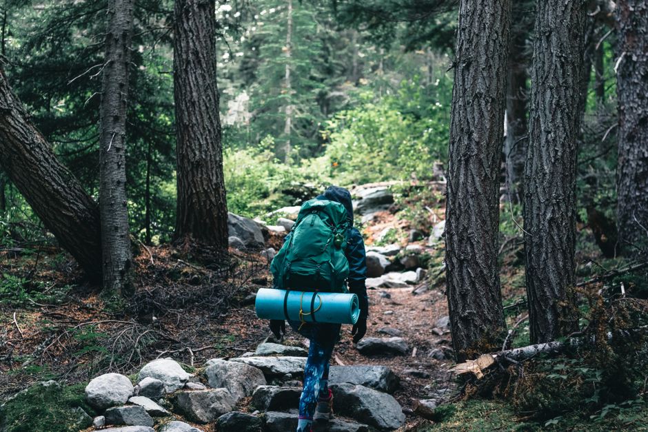 Rila National Park Bulgaria pine forest trail yellow red blazes hiker backpack