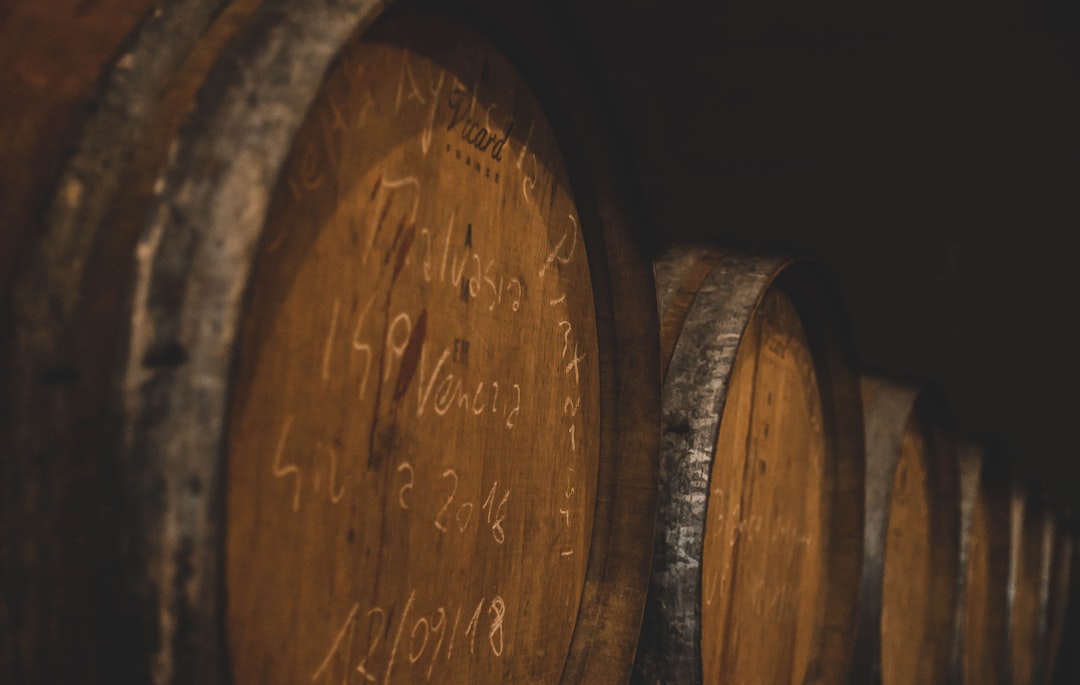 Rakita Slovenia wine cellar tasting room barrels
