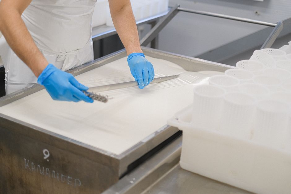 Asena cheese production process artisanal dairy