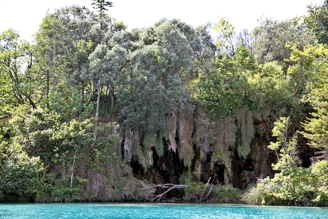 Plitvice Lakes National Park: Forest Trails and Waterfall Hikes