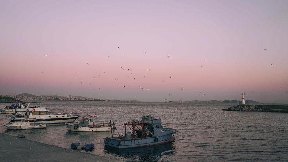 Eceabat Turkey harbor fishing boats evening calm sea