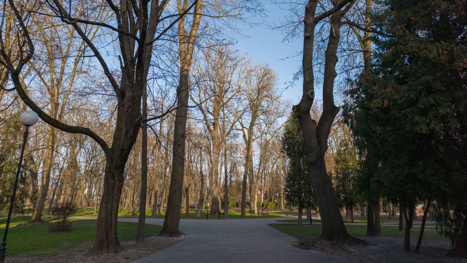 Novi Sad City Park walking paths green trees