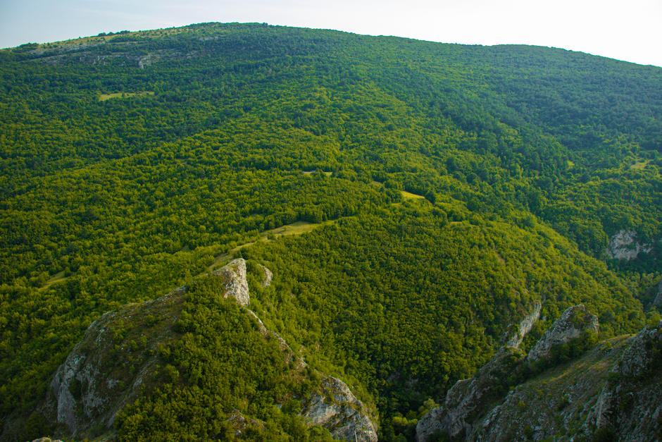 Fruška Gora National Park Serbia monastery forest hills