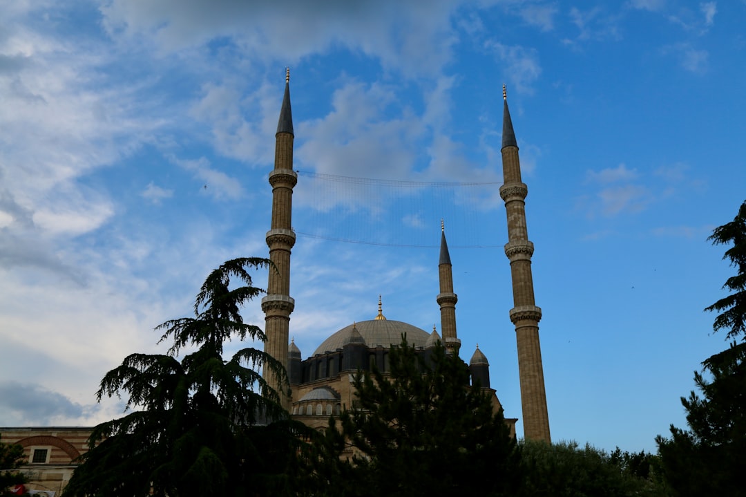 Edirne Eski Cami Old Mosque wooden dome exterior