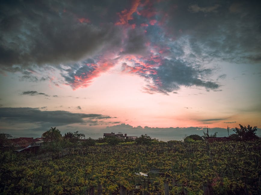 The Pelješac Wine Route: Drinking Your Way Across the Croatian Exclave