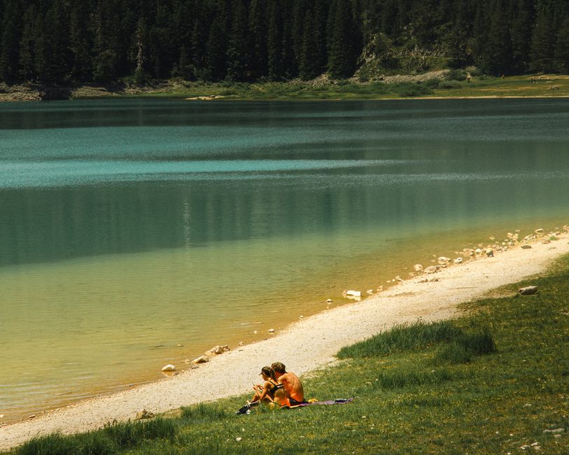 Durmitor National Park Montenegro pine forest river bank eco tourism
