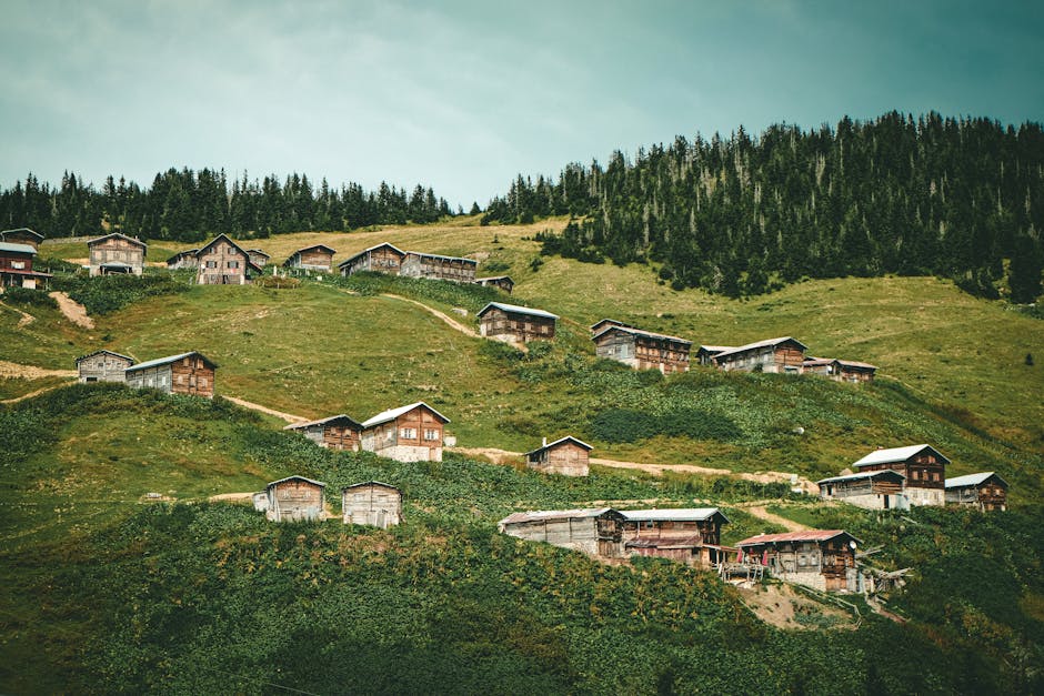 Trabzon to Rize: Chasing Rain and Red Mullet on Turkey's Black Sea Coast