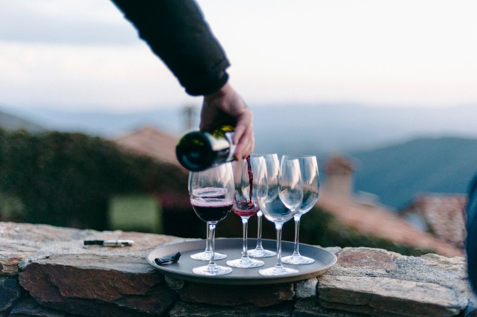 Fruška Gora winery evening tasting live music