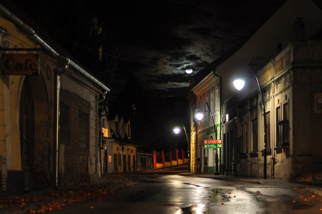 Sremski Karlovci Serbia nightlife street cafes evening