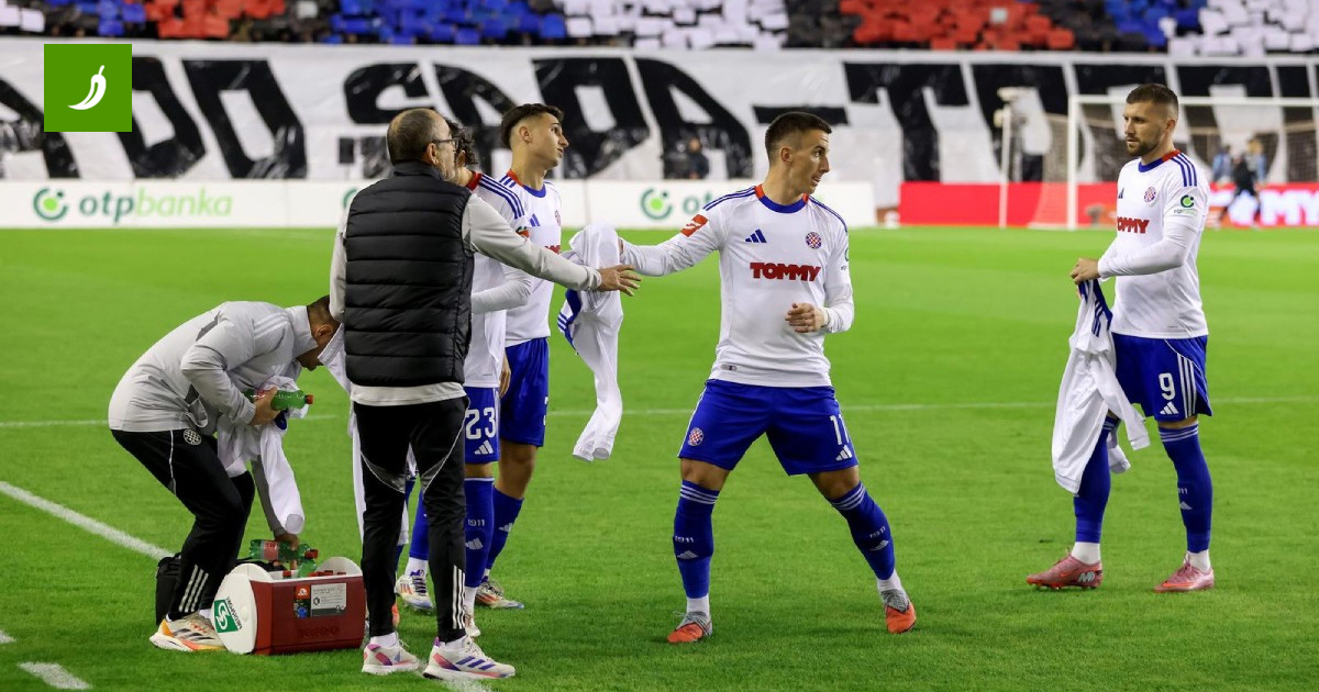 Hajduk's Final Season Match May See Farewell to Five Players