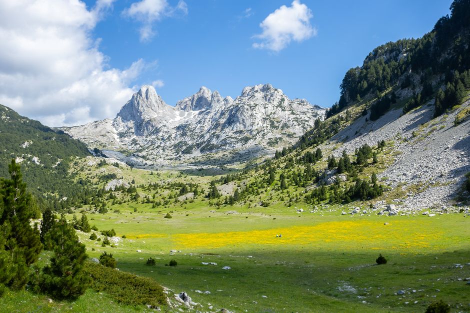 Valbona Valley Albania green meadows mountains