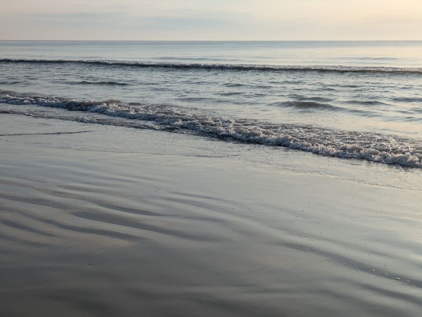 Razor clam holes in sand Piran coastline early morning