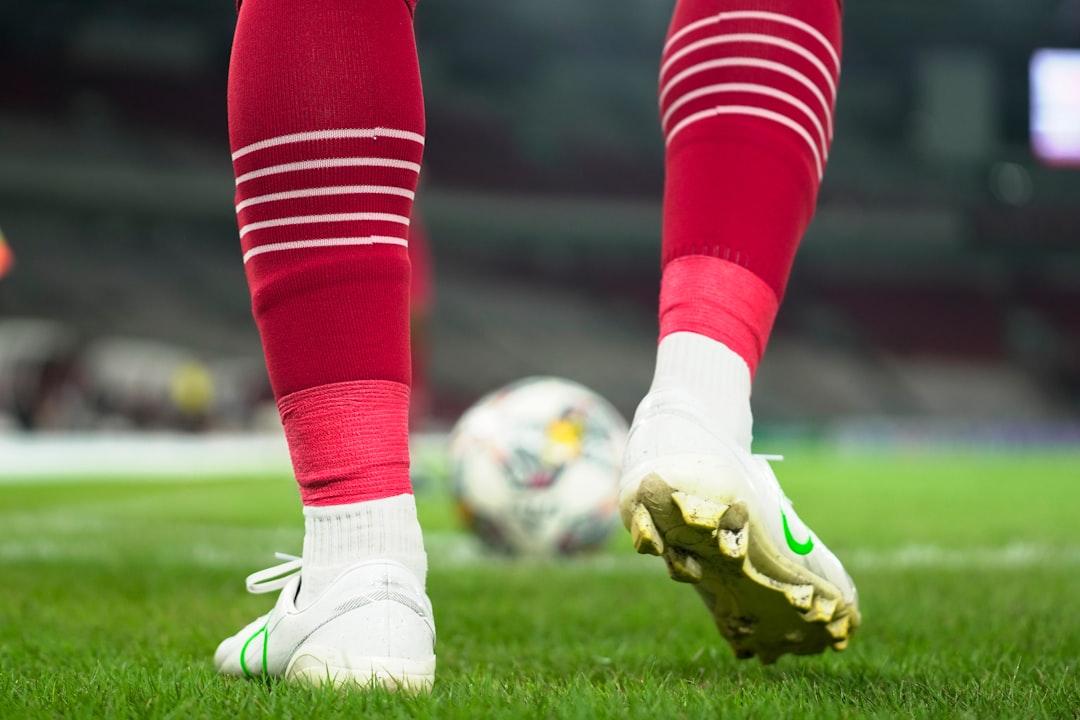 Halil Altintop media interview football analysis