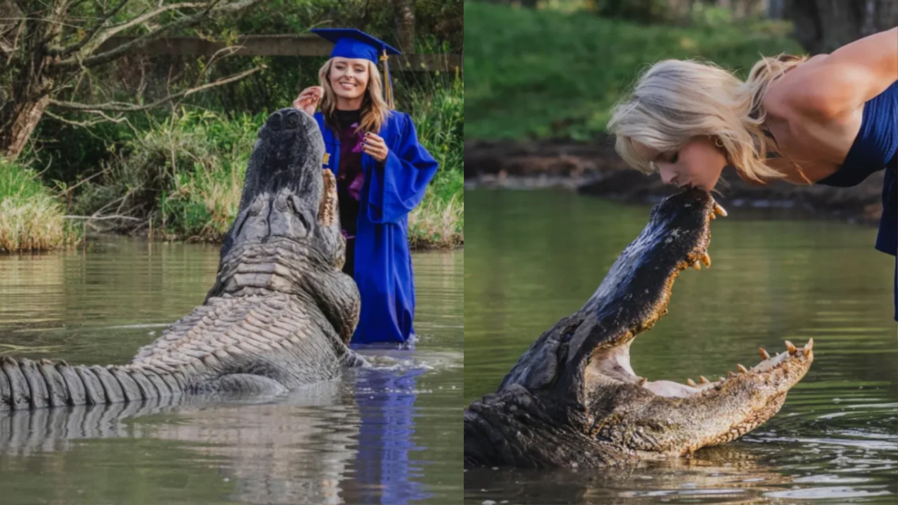 Graduation Photo Leads to Huge Alligator Kiss!