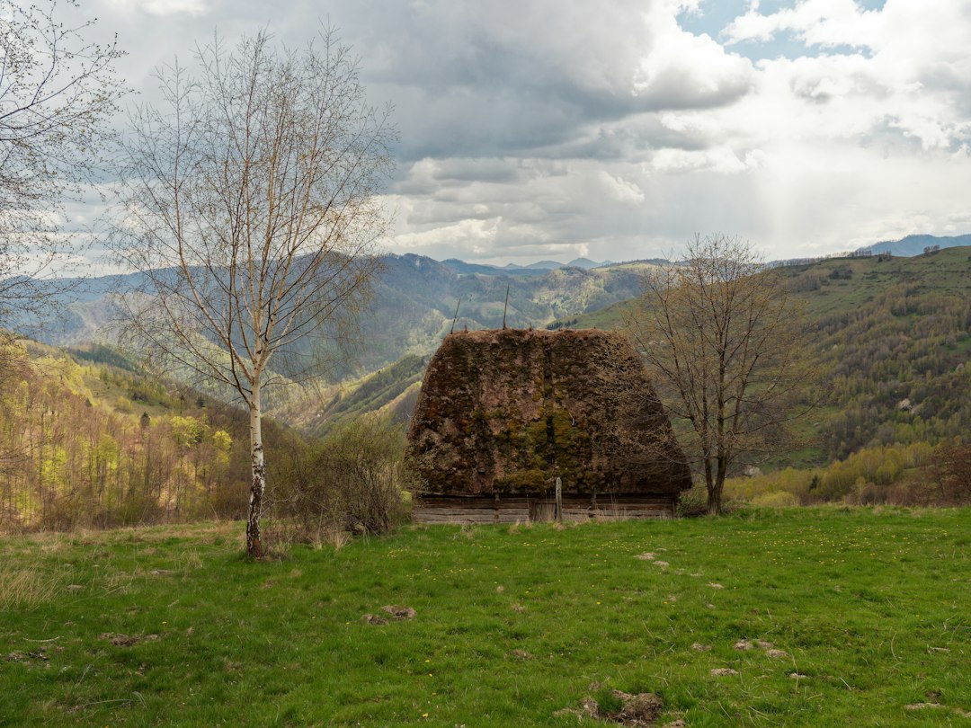 traditional Romanian stână shepherd hut stone wood mountain
