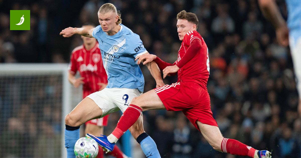 City's Anderson Bid Slammed! Forest Demands Record Fee