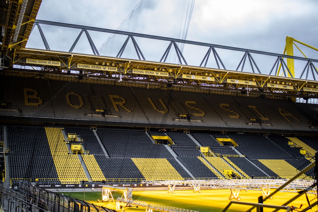 Donyell Malen Borussia Dortmund goal celebration