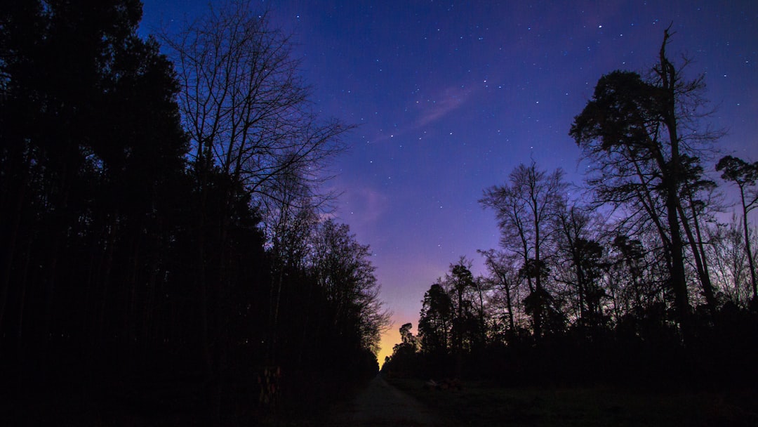 Migrant group walking through forest night