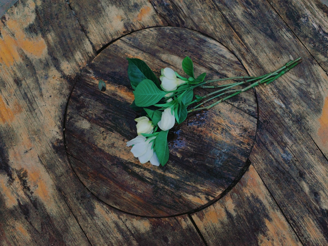 Romanian sarmale mămăligă plate rustic wooden table