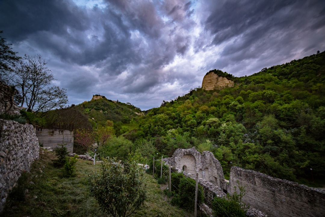 Georgi Rachev filmmaker Bulgaria interview