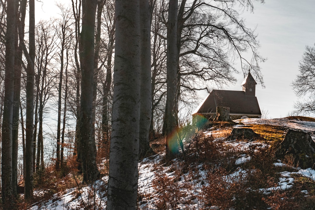 Velebit Mountain Croatia mountain hut wooden exterior snowy roof
