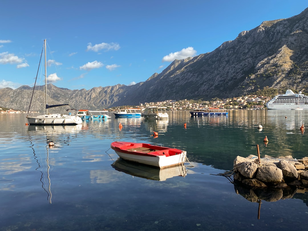 Paddling the Serpent: A Gonzo Descent into Montenegro's Bay of Kotor