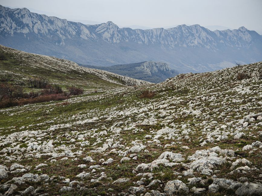 Sarplaninac dog standing alert on rocky mountain terrain Serbia