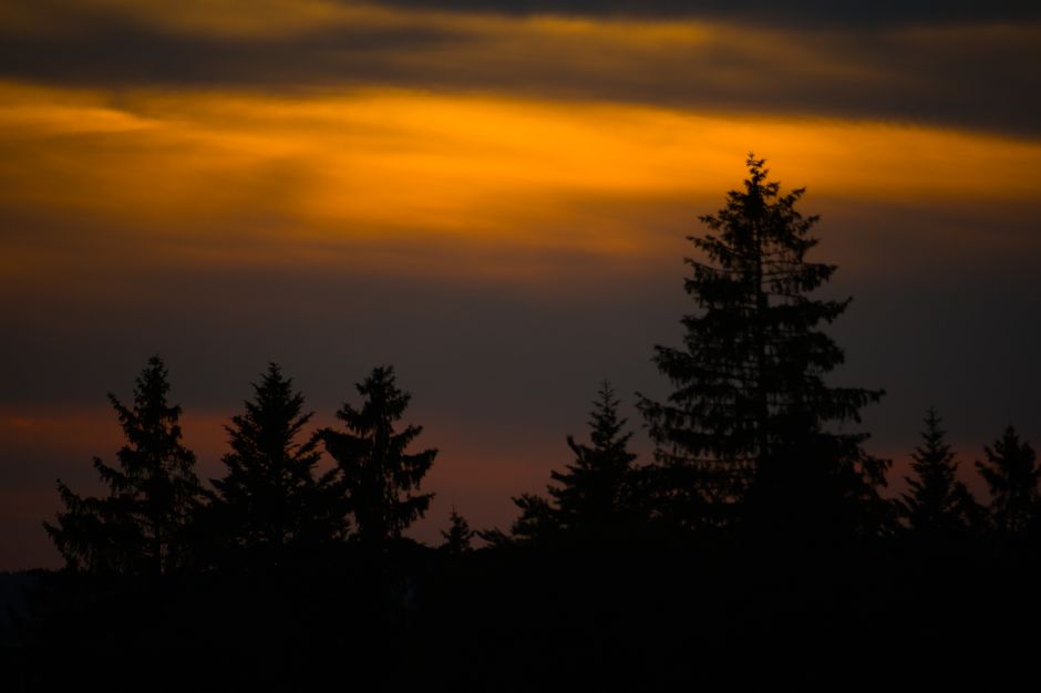 Topolovačka Banja Serbia thermal pool pine forest sunset