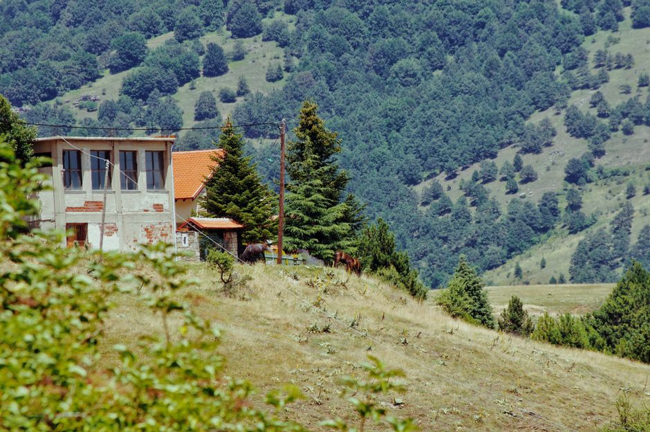 Mavrovo Village North Macedonia trailhead parking area pine trees